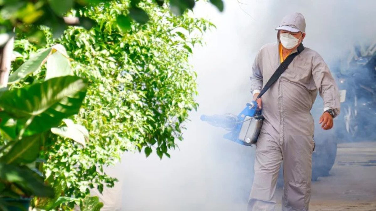 Quick and Reliable Mosquito Exterminator Solutions for Busy Families