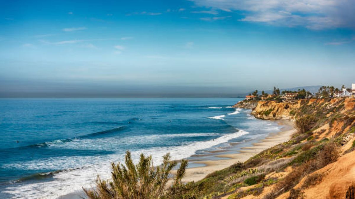 Landscaping for Ocean Views in San Diego